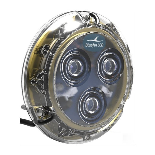 Bluefin piranha a 3 led bianchi p-3 12-v