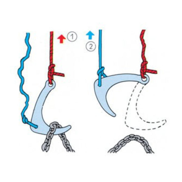 Mezzaluna saves Kong again