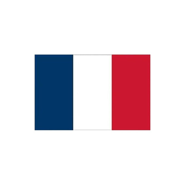 France courtesy flag 20 x 30 cm