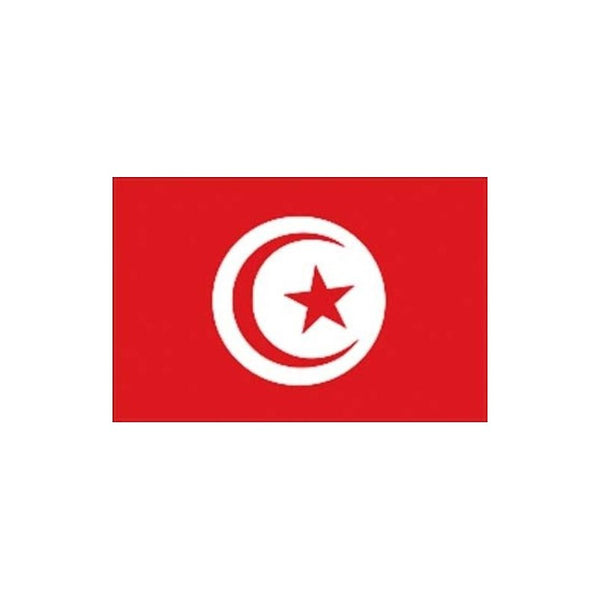 Bandiera di cortesia tunisia 20 x 30 cm