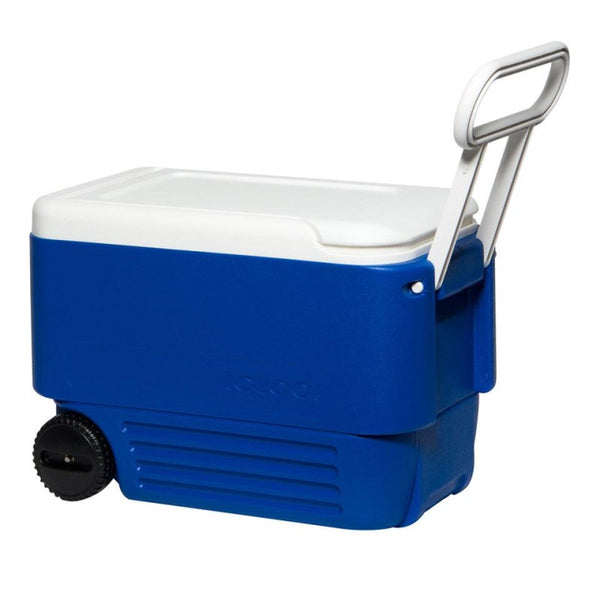 Rigid igloo icebox with wheels: wheelie 38 - 36 lt
